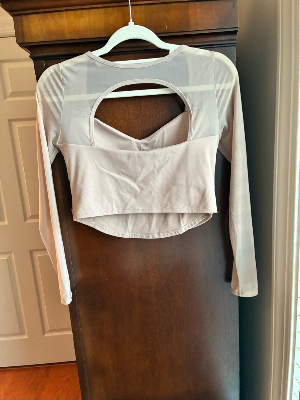 Laslulu Mesh Long Sleeve Crop Top with Built-In Bra Shelf Nude Pink Medium NWT - Picture 5 of 6